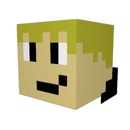DUKE20000 Minecraft avatar head, 3D render