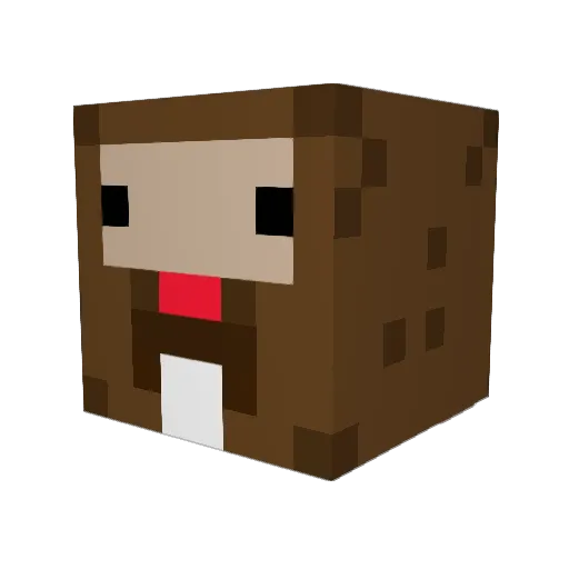 DUMP1ING5 Minecraft avatar head, 3D render