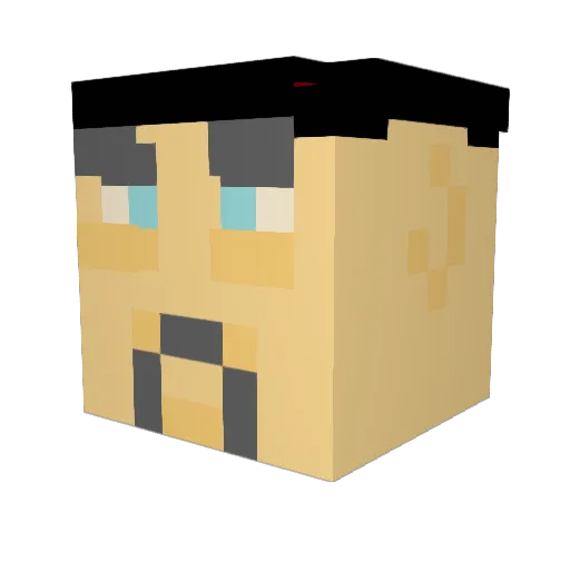 DUNG_87 Minecraft avatar head, 3D render