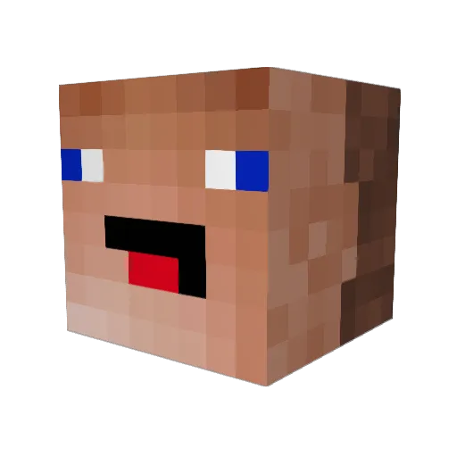 DUNNE143 Minecraft avatar head, 3D render