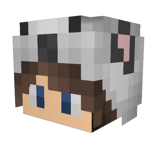 DUXIYT123 Minecraft avatar head, 3D render
