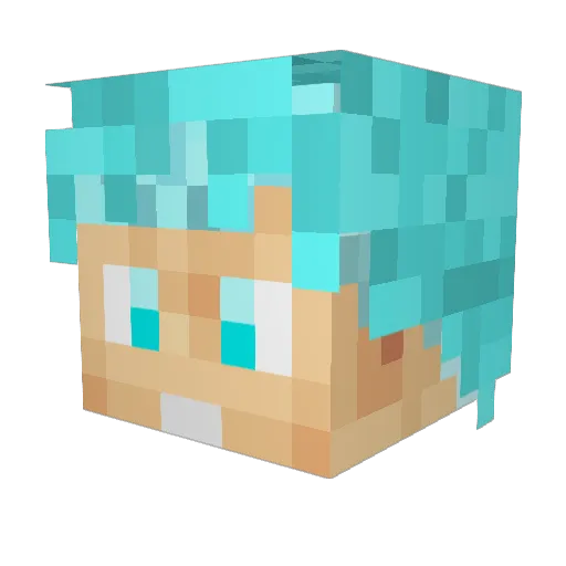 DVD88 Minecraft avatar head, 3D render
