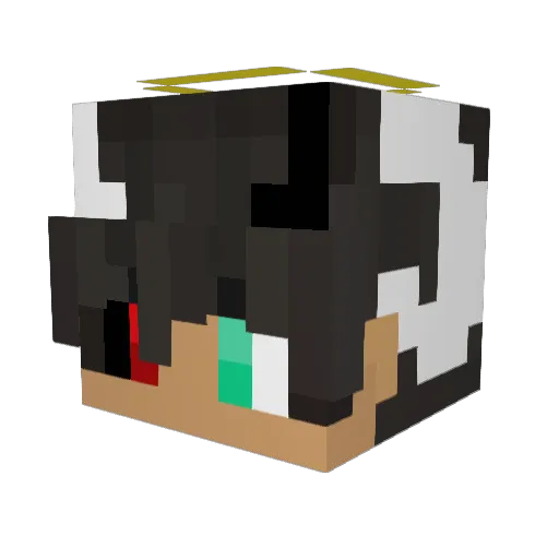 DVD9 Minecraft avatar head, 3D render