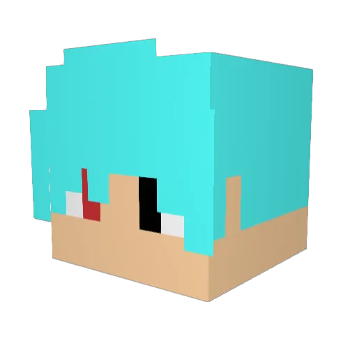 DVRDrTw Minecraft avatar head, 3D render