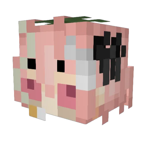 DVader2522 Minecraft avatar head, 3D render