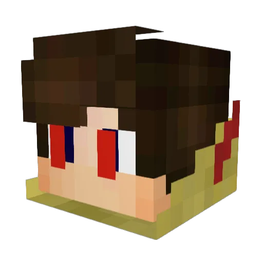 DW11th Minecraft avatar head, 3D render