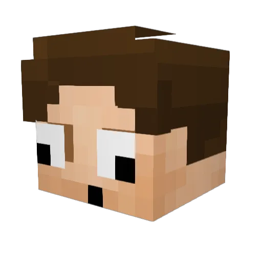 DW855 Minecraft avatar head, 3D render