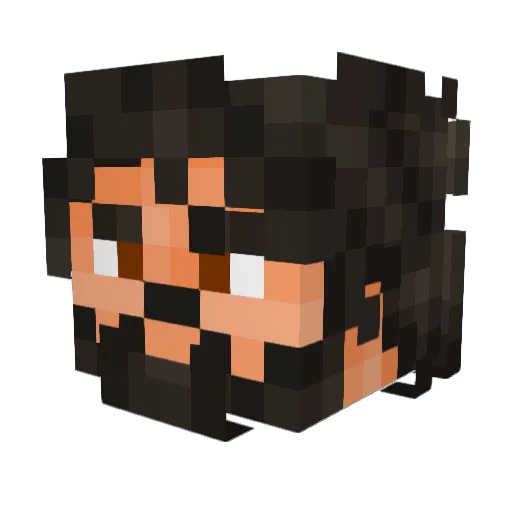 DW9000 Minecraft avatar head, 3D render