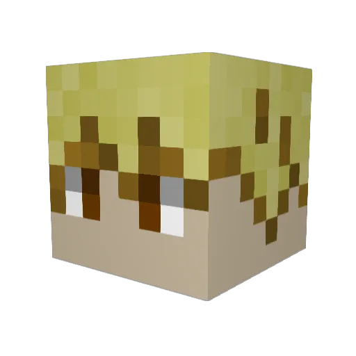 DWAKEYBRO Minecraft avatar head, 3D render