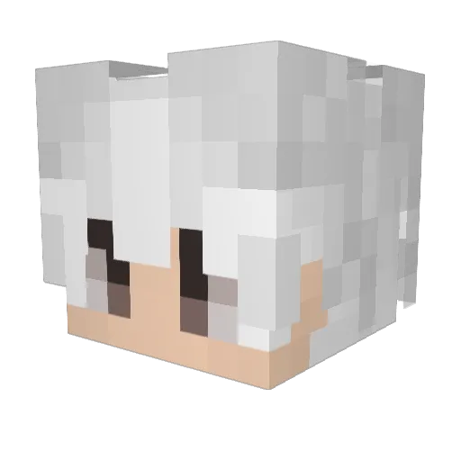 DWD_btw Minecraft avatar head, 3D render
