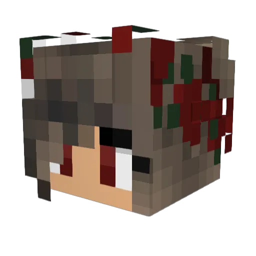 DWEIN__ Minecraft avatar head, 3D render