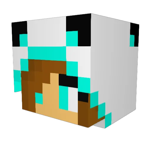 DWHC Minecraft avatar head, 3D render