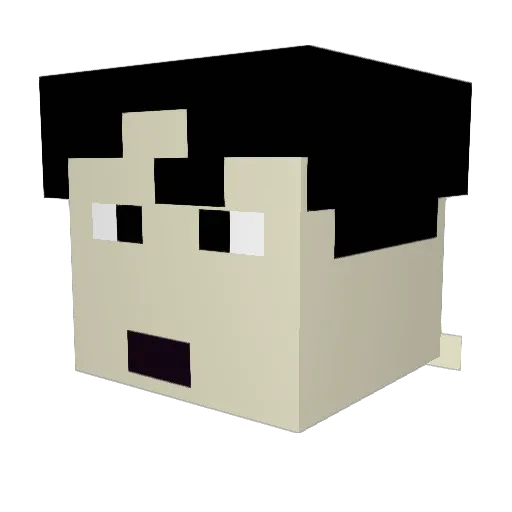 DWK13 Minecraft avatar head, 3D render