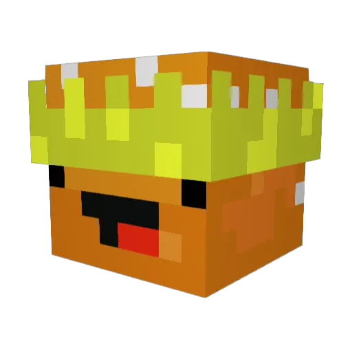 DW_panic Minecraft avatar head, 3D render