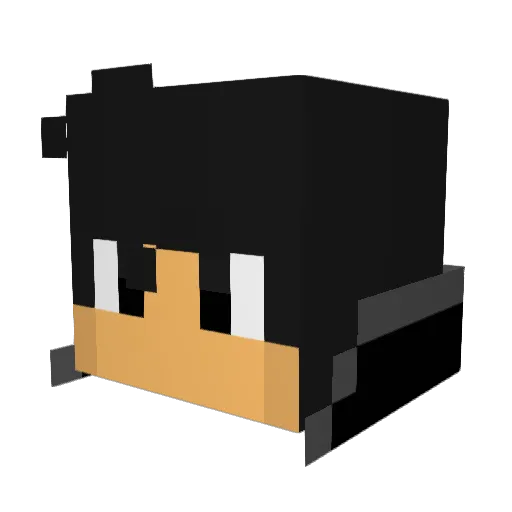 DWparri Minecraft avatar head, 3D render