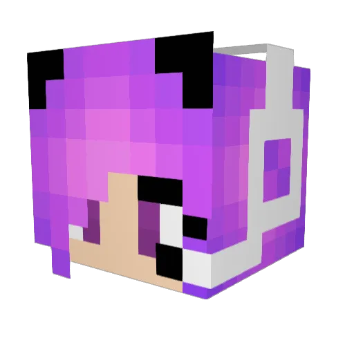 DXMinerMC Minecraft avatar head, 3D render