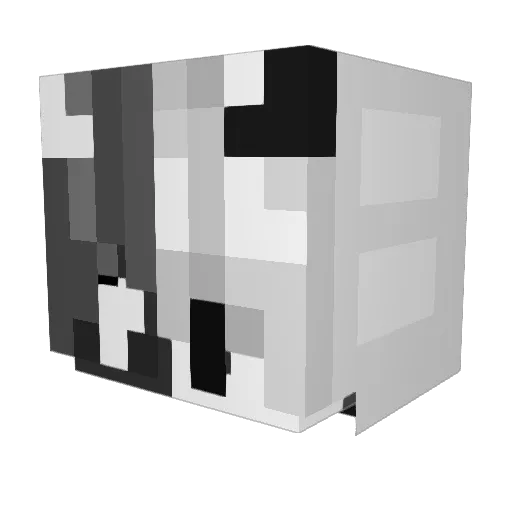 DXVVAY Minecraft avatar head, 3D render