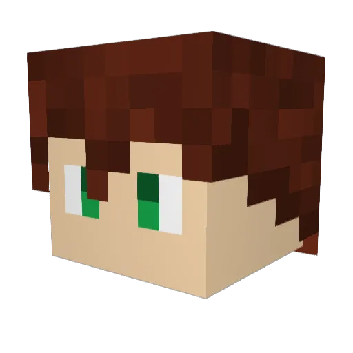 DXsstg Minecraft avatar head, 3D render