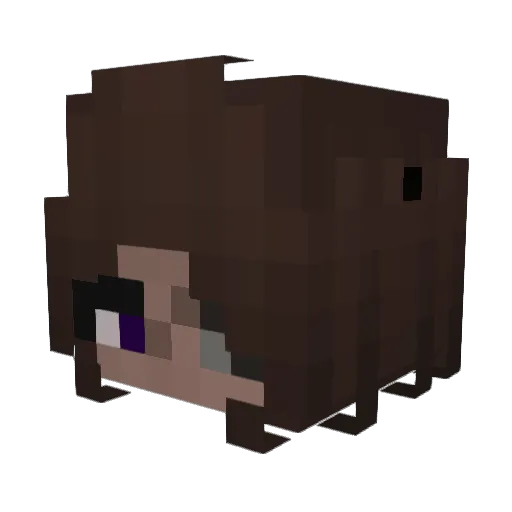 DYB654 Minecraft avatar head, 3D render