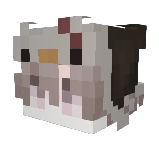 DYCxy Minecraft avatar head, 3D render
