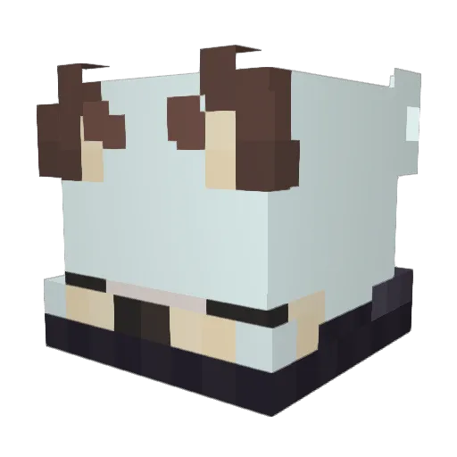 DYDYCRAFT15 Minecraft avatar head, 3D render