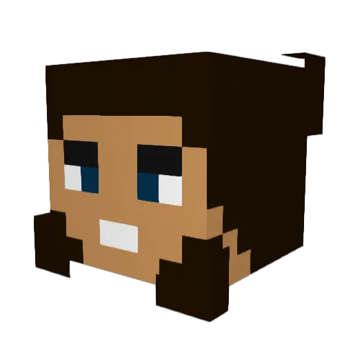 DYENIGHT Minecraft avatar head, 3D render