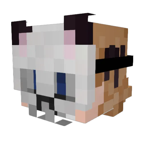 DYLANLEGOKILL Minecraft avatar head, 3D render