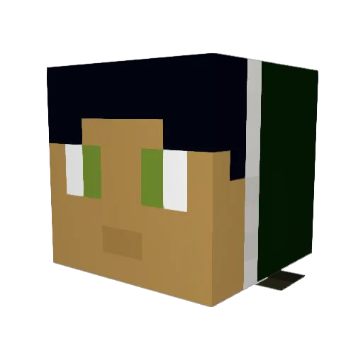 DYLANM0323 Minecraft avatar head, 3D render
