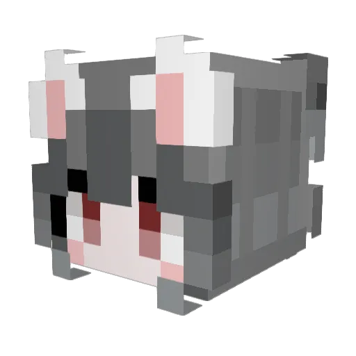 DYZHzhu Minecraft avatar head, 3D render