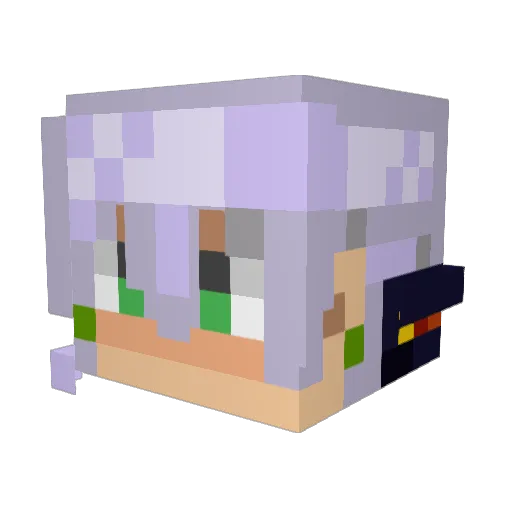DZIKI21 Minecraft avatar head, 3D render