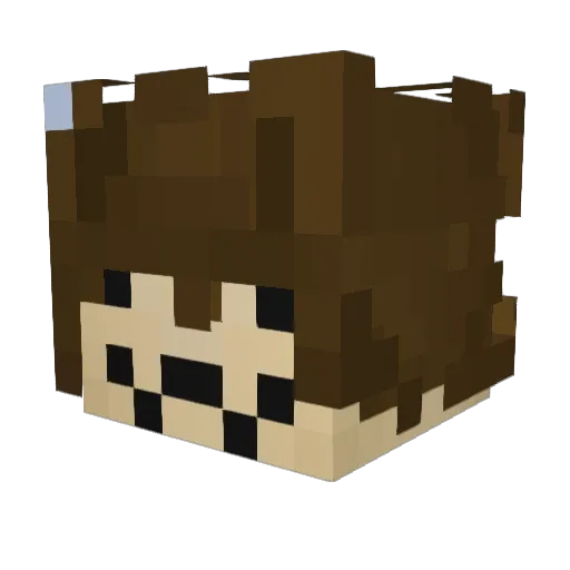 DZIUBUN Minecraft avatar head, 3D render