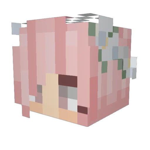DZuro1215 Minecraft avatar head, 3D render
