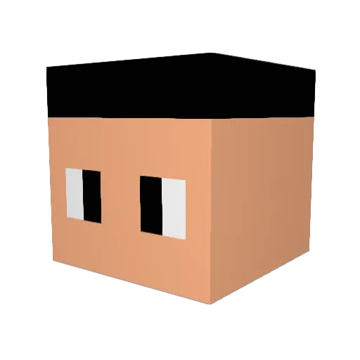 D_0_D_0 Minecraft avatar head, 3D render