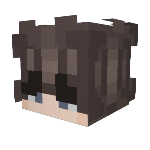 D_5 Minecraft avatar head, 3D render