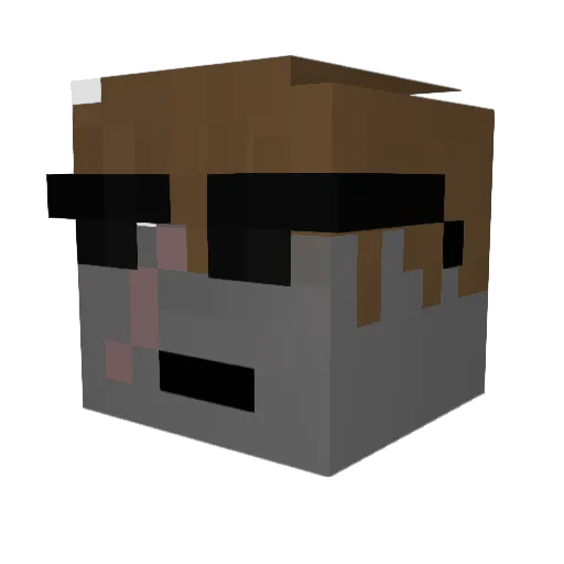 D_A_R_K12 Minecraft avatar head, 3D render