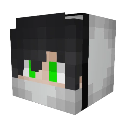 D_Beast Minecraft avatar head, 3D render