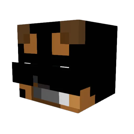 D_D_D123 Minecraft avatar head, 3D render