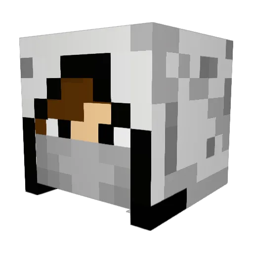 D_Deel Minecraft avatar head, 3D render