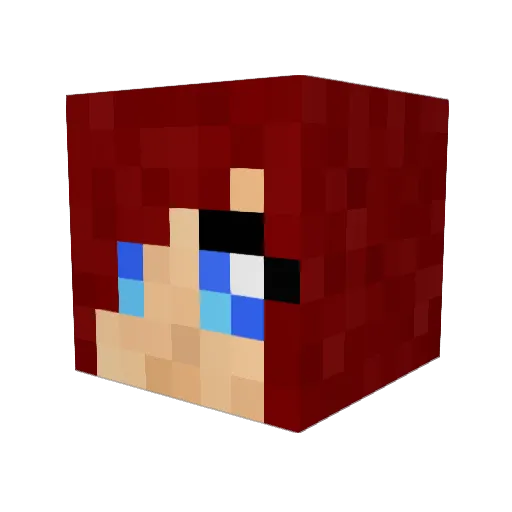 D_Destiny Minecraft avatar head, 3D render