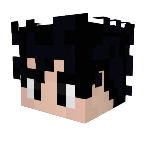 D_H_vader Minecraft avatar head, 3D render