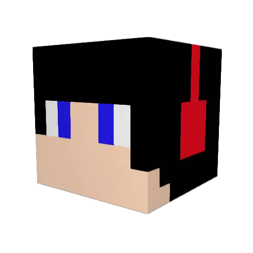 D_Mgamer Minecraft avatar head, 3D render