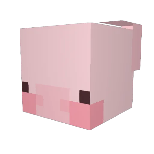 D_O_L Minecraft avatar head, 3D render