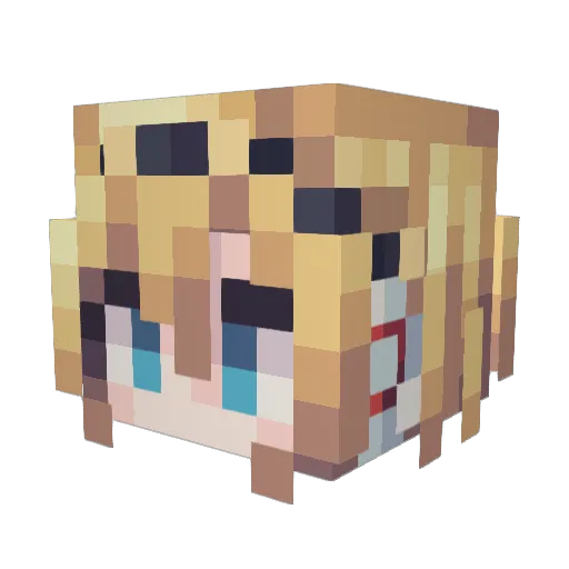 D_P_L Minecraft avatar head, 3D render