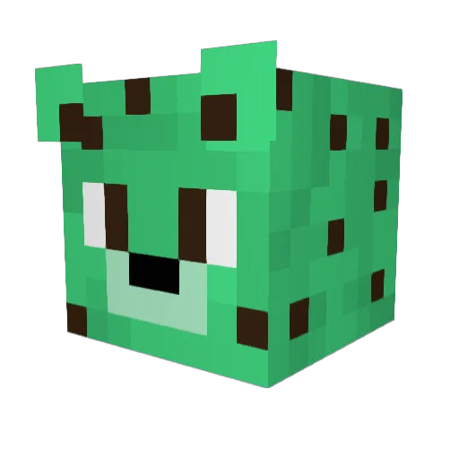 D_Rock96 Minecraft avatar head, 3D render