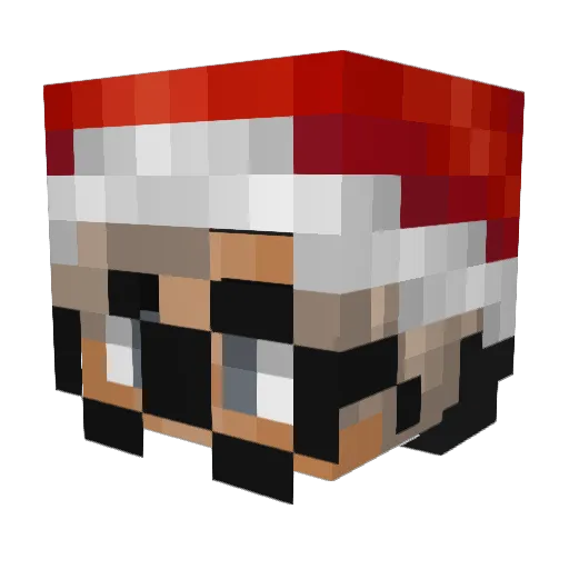 D_SsBattleKingZx Minecraft avatar head, 3D render