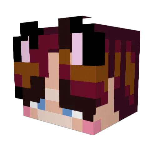 D_cash Minecraft avatar head, 3D render
