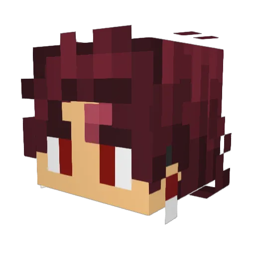 D_james314 Minecraft avatar head, 3D render