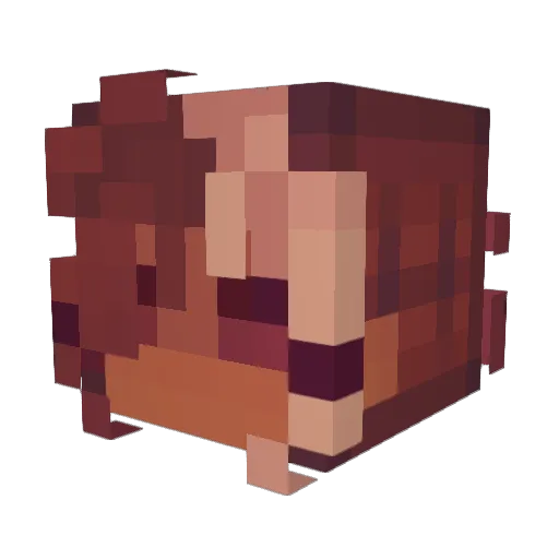 D_o_l_l Minecraft avatar head, 3D render