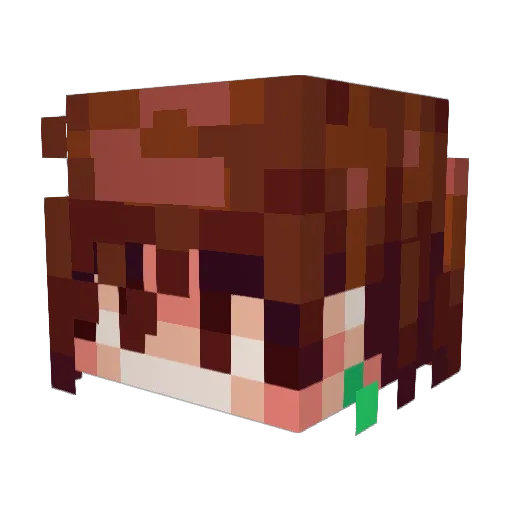 D_tii Minecraft avatar head, 3D render