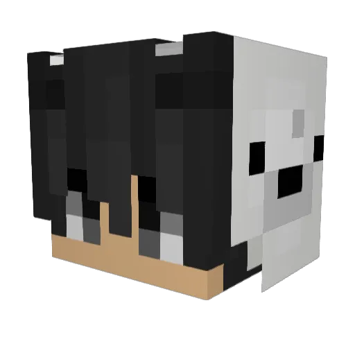 DaAspect Minecraft avatar head, 3D render